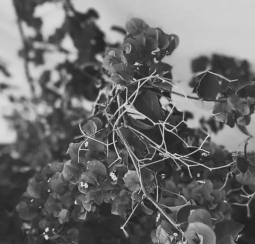 El Balcon De Аланхе